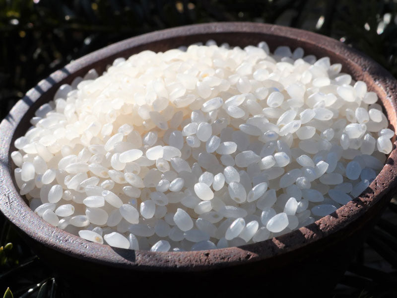 ※訳あり数量限定 コシヒカリ(長野県北安曇郡池田町産・2024年古米)