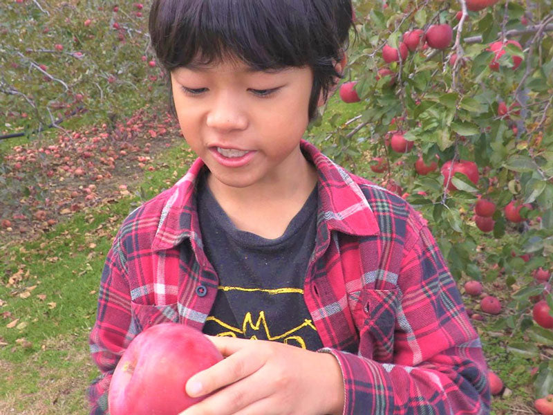 チョットぜーたくなジュース(まるに農園 サンふじ 果汁100% )