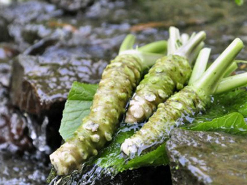 わさびチーズ(長野県の老舗「マル井」ツーンとした辛さが癖になる)