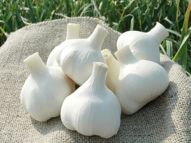俺のにんにく(長野県安曇野池田町産・お得!)