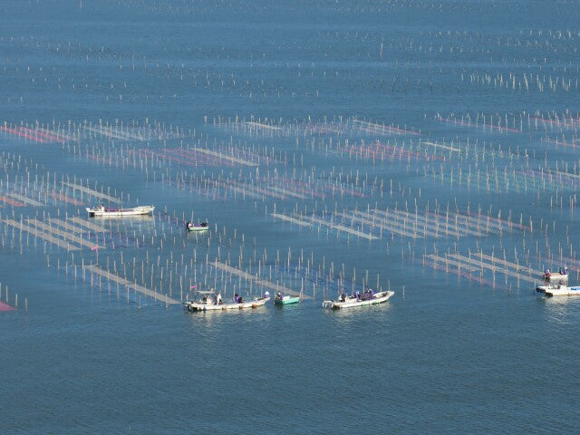 本わさび海苔(安曇野産本わさび・有明海味付海苔)