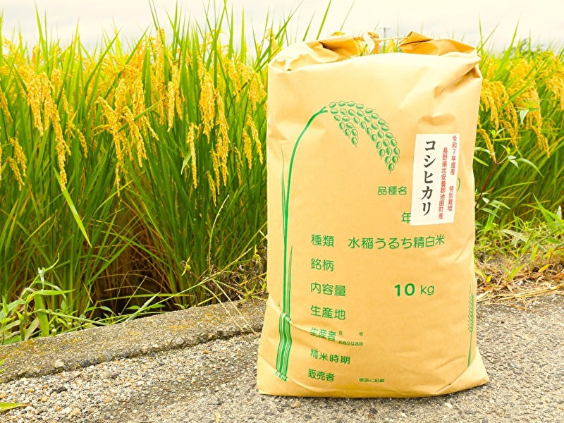 コシヒカリ（長野県北安曇郡池田町産・2025年新米） – 安曇野自然食品
