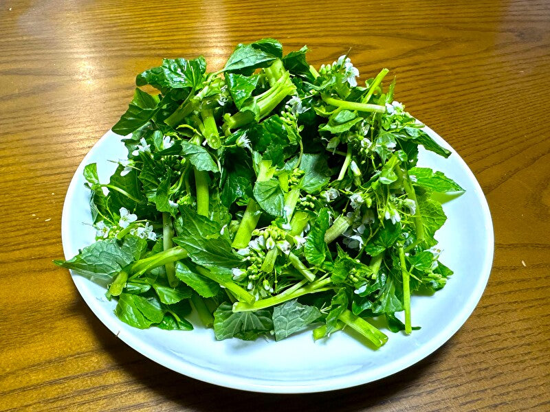 花わさび(期間限定・安曇野産本わさびの花100g)※これからの時期はきざみになります。