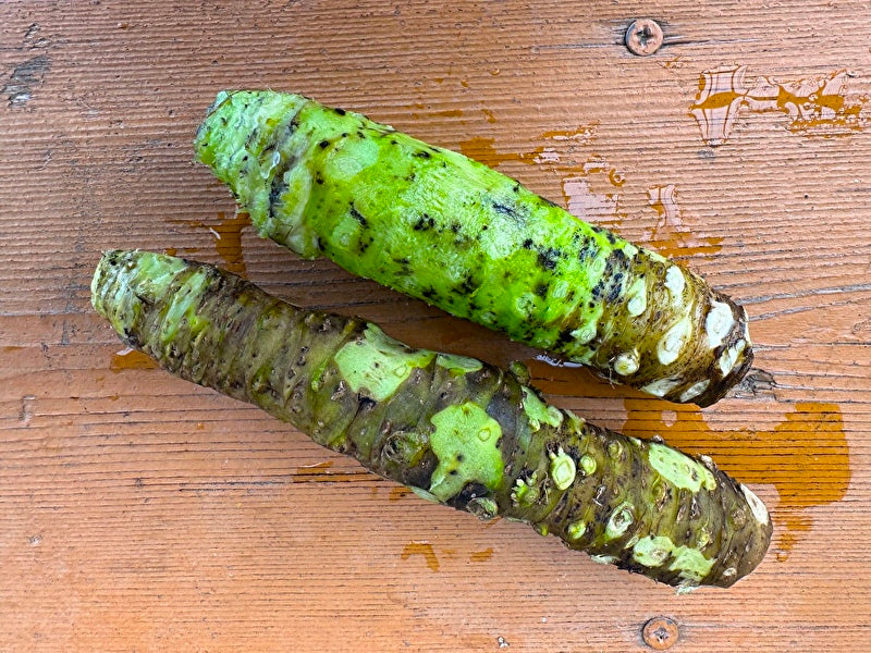 安曇野産本わさび(生の安曇野本わさびをお届けします!)