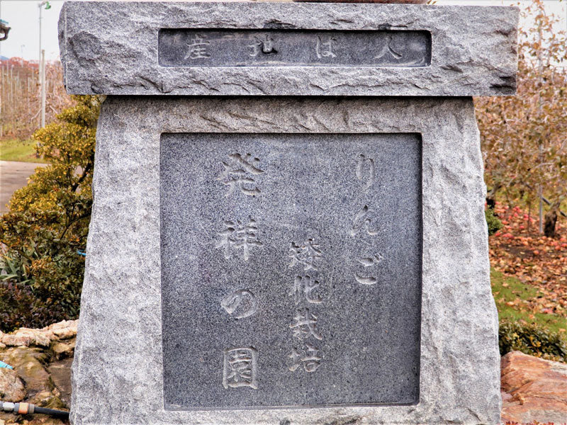 安曇野産サン名月（贈答用・まるに農園 二村守さん作 日本一と呼ばれた林檎・予約販売2024年11月頃お届け）
