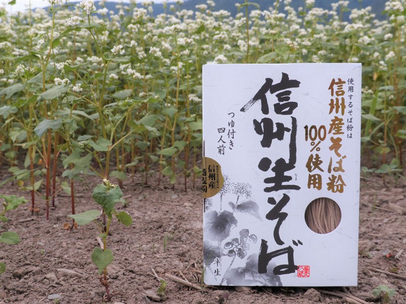本格そばセット（信州生そば8人前と安曇野産本わさび・おろし金付き）