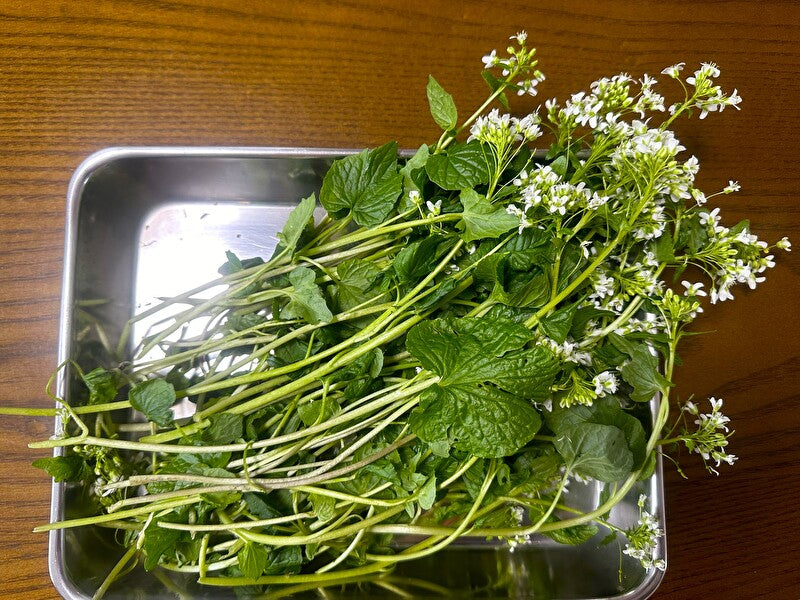 花わさび（期間限定・安曇野産本わさびの花100ｇ）※これからの時期はきざみになります。