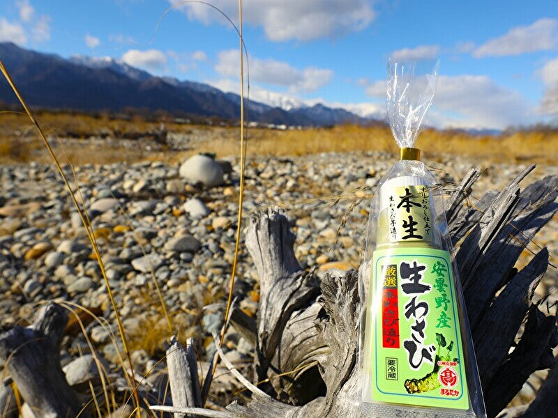極上生わさび（安曇野産生わさび・すりおろし仕立て）