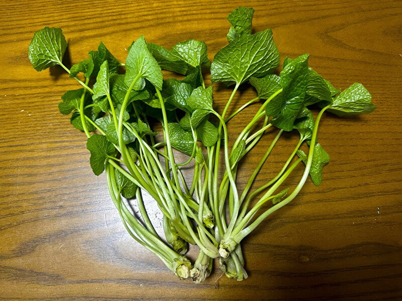 葉わさび（安曇野産本わさびの葉100ｇ）