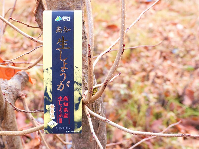 高知生しょうが（長野県の老舗わさび屋「マル井」・無着色）